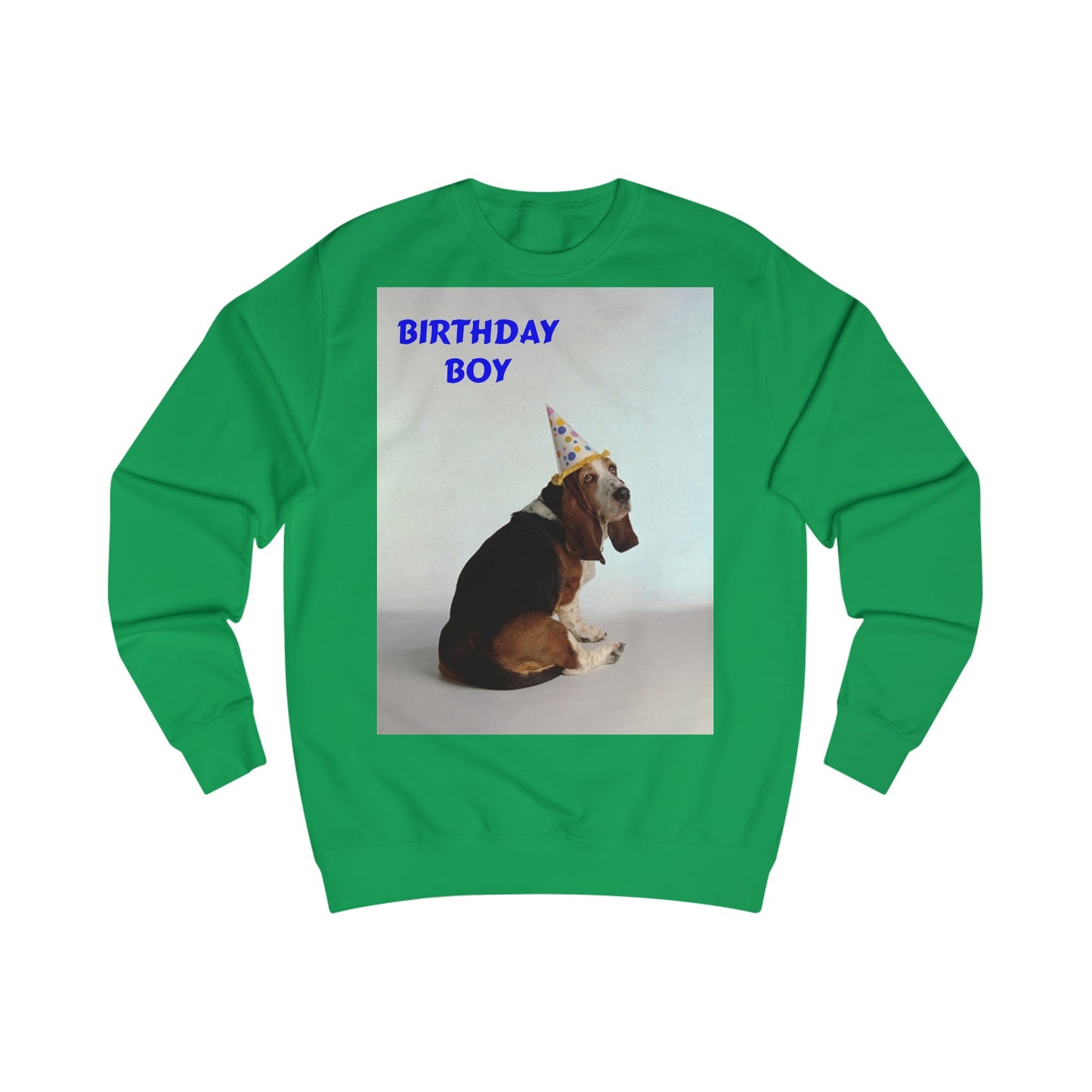 Birthday Boy Basset Dog Sweatshirt