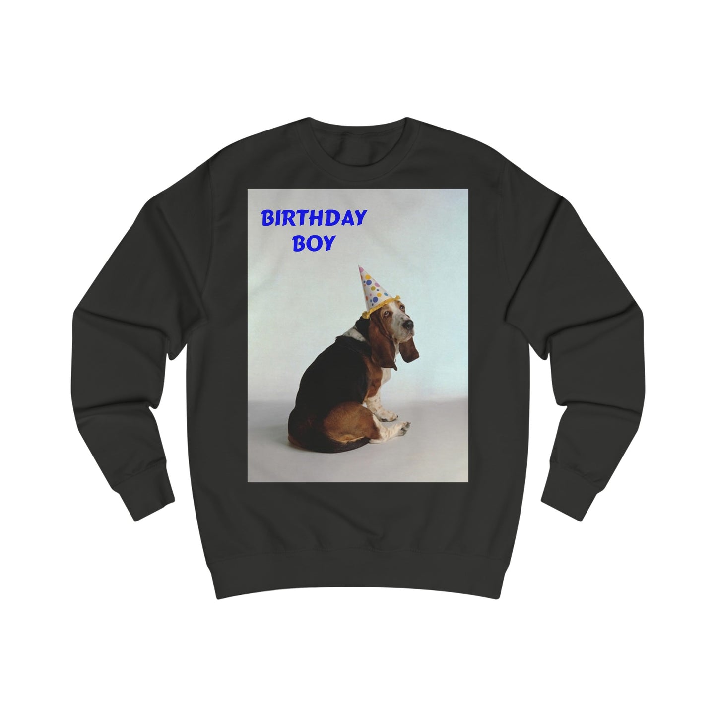 A black sweatshirt with a photo of a Basset hound dog wearing a birthday party hat. In the top left corner the words read: Birthday Boy