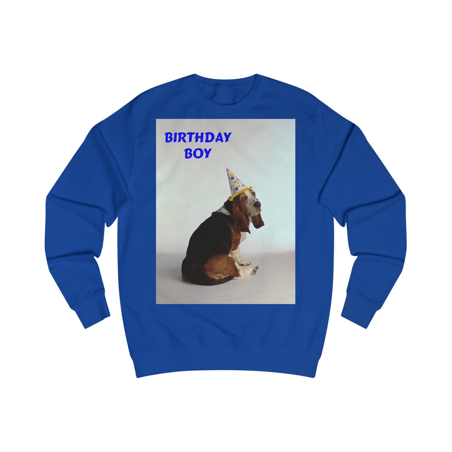 Birthday Boy Basset Dog Sweatshirt