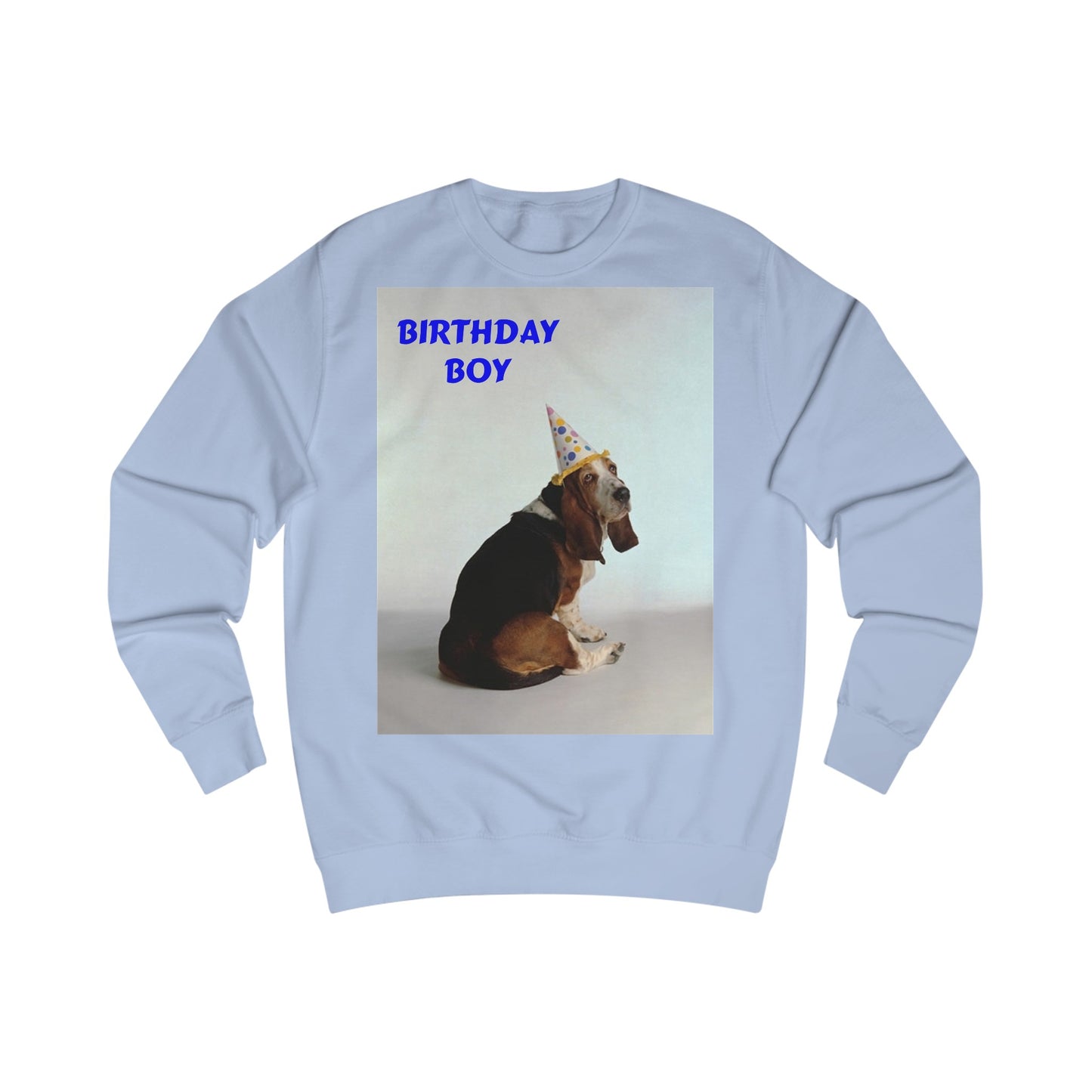 Birthday Boy Basset Dog Sweatshirt