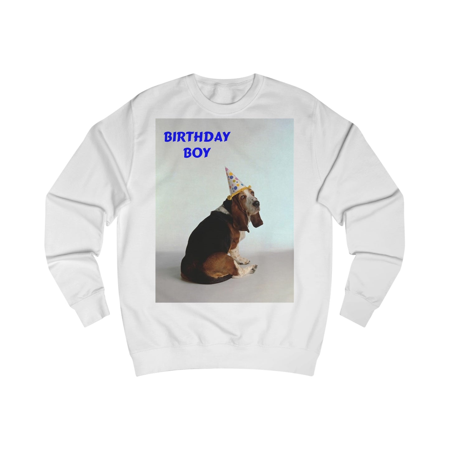 Birthday Boy Basset Dog Sweatshirt